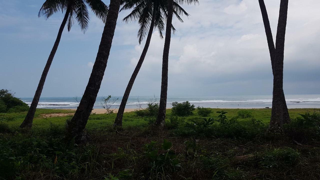 Oseda Nias Surf House Hotel Hilibotodane Luaran gambar